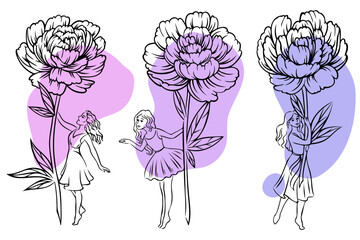 vector illustration flowers peonies in linear style graphics