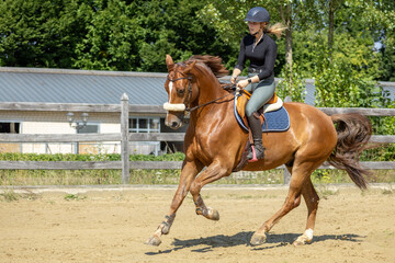 Training einer jungen, blonden Frau mit jungem Pferd im Springsattel im Sommer in der Sonne auf dem Reitplatz