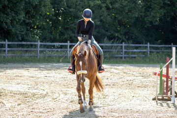 Reiterin lobt ihr entspanntes Pferd im Schritt frontal gesehen am hingegebenen Zügel auf dem Reitplatz im Sommer und in der Sonne