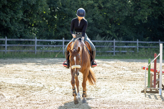 Reiterin lobt ihr entspanntes Pferd im Schritt frontal gesehen am hingegebenen Z&uuml;gel auf dem Reitplatz im Sommer und in der Sonne