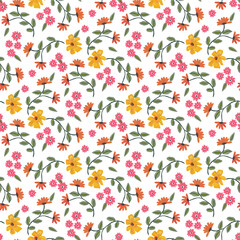 colorful floral background
