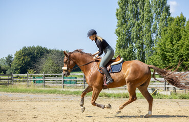 Springtraining einer jungen Frau mit jungem Pferd im Sommer in der Sonne auf dem Springplatz: Galopp im leichten Sitz
