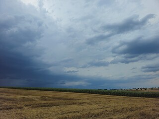Obraz premium A field with a cloudy sky
