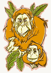 Orang Utan 