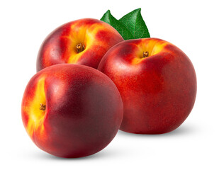 Three nectarine fruits and leaf isolated. Nectarine peache fruit with leaves cut out.