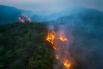 Wildfires release carbon dioxide (CO2) emissions and other greenhouse gases (GHG) that contribute...
