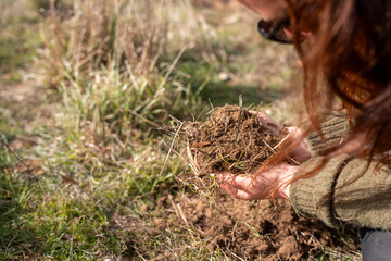 farmer holding soil in hands, monitoring plant health, regenerative organic farming, and field while also studying soil samples and plant growth in a farm. practicing sustainable agriculture