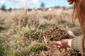 farmer holding soil in hands, monitoring plant health, regenerative organic farming, and field while also studying soil samples and plant growth in a farm. practicing sustainable agriculture