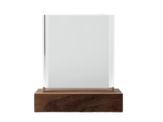 Clear acrylic award with wooden base.  A rectangular, transparent acrylic display case sits atop a dark, wood-toned base.  Empty space inside for customization