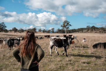 female australian farmer working in a paddock with a herd of cows, Hardworking Farmer Monitoring Cattle on a Rural Australian farm. innovation in agriculture with regenerative organic farm