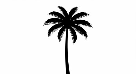 Obraz premium Silhouette of a Palm Tree Against a Bright White Background