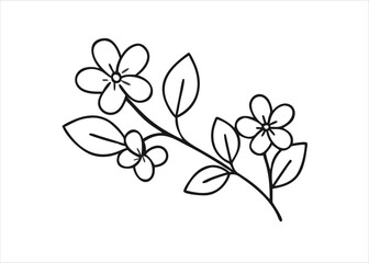 A delicate floral branch adorned with three beautiful blossoms presented as a decorative element isolated on white background