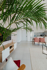 Chic living area with armchair, tropical plant and sunlight through tall windows