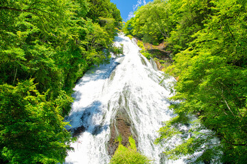 栃木県日光市　奥日光の湯ノ湖から流れ落ちる湯滝	