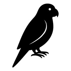 Obraz premium very simple flat and single minimalist Conure Silhouettes in black on a white background