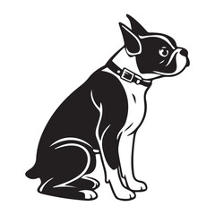 Black and white portrait of a cute French Bulldog puppy and a small dog isolated on white background