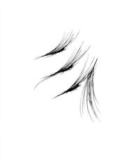 Fototapeta premium Abstract graphic of three layers of delicate, wispy lines