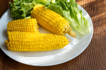 Close-up of boiled corn on a white plate