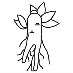 Ginseng icon outline vector