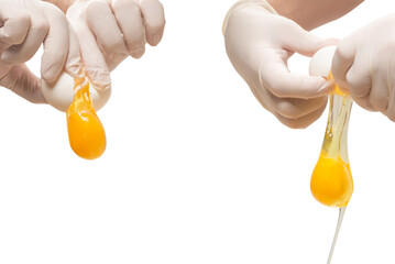 The cook breaks the egg isolated on white background.