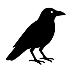 Obraz premium very simple flat and single minimalist Crow Silhouettes in black on a white background