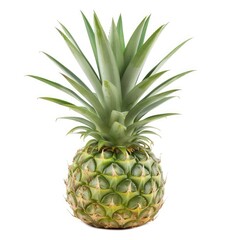 Fresh pineapple, whole, isolated (3)
