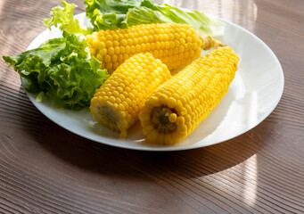 Close-up of boiled corn on a white plate