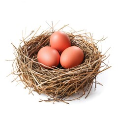 Three brown eggs nestled in a bird's nest