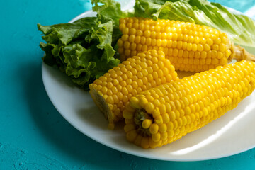 Close-up of boiled corn on a white plate