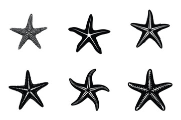 Set of Black Starfish Silhouettes Isolated on White Background