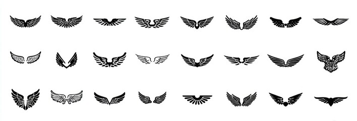 Fototapeta premium Collection of various wing designs