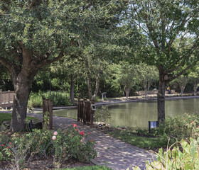 small pond at a park with beautiful trees and paved walkway