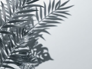 Gray-toned palm and monstera leaf shadows on a light background