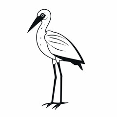 Vector illustration of ibis bird sketch isolated on white background