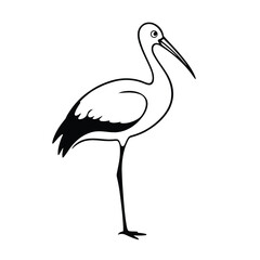 Vector illustration of black and white ibis bird illustration isolated on white background
