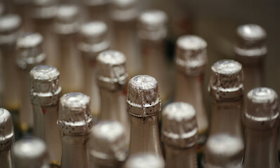 Sparkling celebration captured in a close-up of champagne bottles prepared for a joyous occasion at a vibrant venue