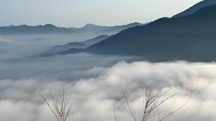 fog in the mountains