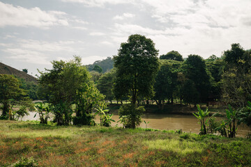 Fototapeta premium Scenic landscape view of a riverbank with trees and vegetation. Cloudy sky above rolling hills.