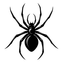 Download  Widow Spider  Black Color Vector Art Illustration Eps File For Design.