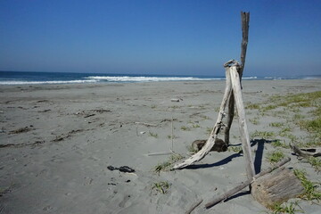 流木のトライポッド