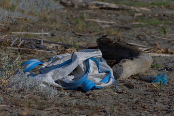 A discarded white and blue piece of fabric or plastic, along with other trash, lies on a sandy beach next to driftwood.