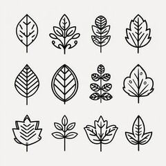 Fototapeta premium Set of twelve stylized line art leaves. Simple, outlined designs of various leaf shapes and patterns. Light background