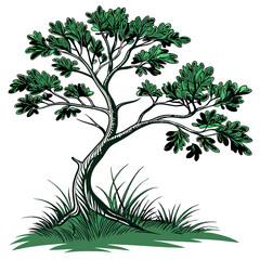 Obraz premium Green tree with leaves and grass illustration nature