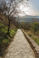 A cobbled path surrounded by trees, grass and nature, ideal for walking and hiking, with a beautiful mountain landscape in the background.