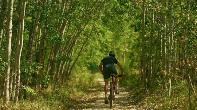 Cyclist Riding Mountain Bike Dense Green Fore. Activ Lifestyle and Eco Transport