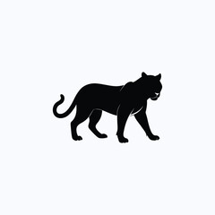 Obraz premium Silhouette of a powerful black panther walking with its tail raised