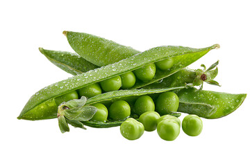 Fresh green peas in pods, isolated on black.