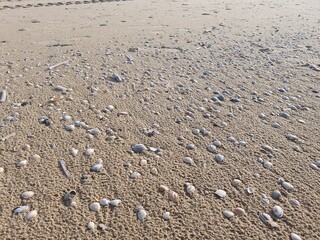meer