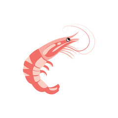 Fototapeta premium Crustaceans. Shrimps, seafood colored illustration on white. Top most popular shellfish and crustaceans. Vector EPS 10. For any platform action promotion and advertising mockup. For your project.