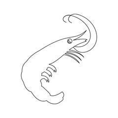 Crustaceans. Shrimps, seafood outline vector icon on white. Top most popular shellfish and crustaceans. Vector EPS 10. For any platform action promotion and advertising mockup. For your project.